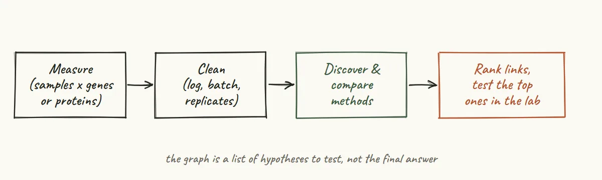 Hand-drawn workflow for biology: measure samples, clean the data, discover and compare methods, then rank the links and test the top ones in the lab