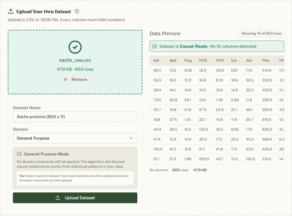 A CSV file selected: the file name, size and row count on the left, the dataset name and domain fields below, and the data preview on the right