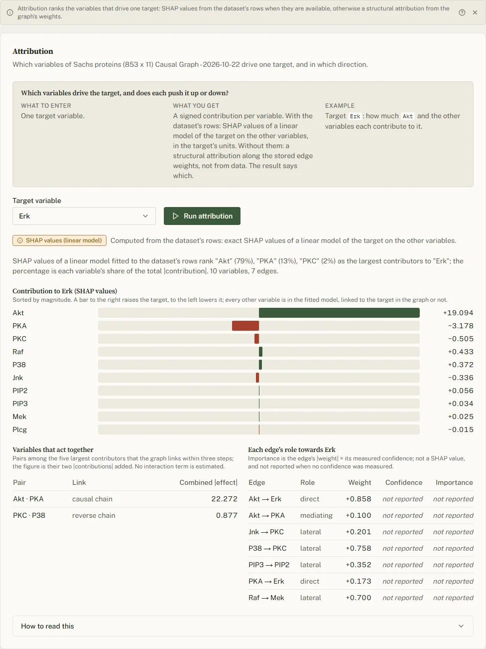 The XAI tab for target Erk: the intro, the method chip Structural attribution, the engine's sentence, the contribution bars led by Akt, the pairs that act together and each edge's role